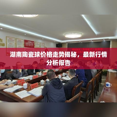 湖南陶瓷球价格走势揭秘，最新行情分析报告