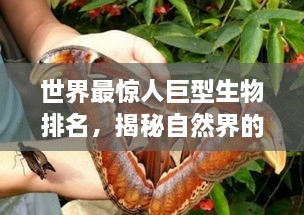 世界最惊人巨型生物排名，揭秘自然界的隐藏巨兽！