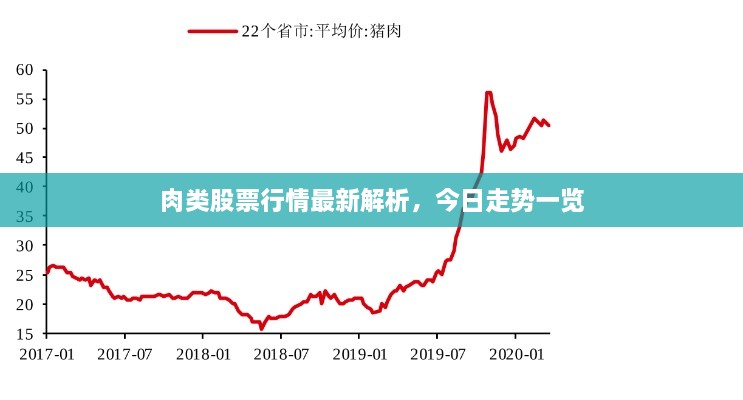 肉类股票行情最新解析，今日走势一览