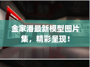 金家潘最新模型图片集，精彩呈现！