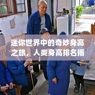 迷你世界中的奇妙身高之旅，人类身高排名揭秘