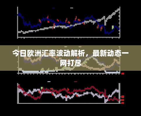 今日欧洲汇率波动解析，最新动态一网打尽