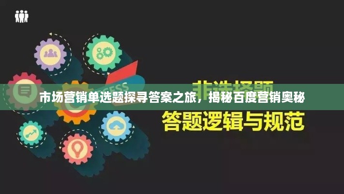 市场营销单选题探寻答案之旅，揭秘百度营销奥秘