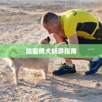 哈密携犬畅游指南