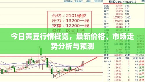 今日黄豆行情概览，最新价格、市场走势分析与预测