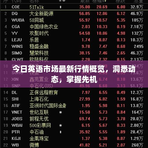 今日英语市场最新行情概览，洞悉动态，掌握先机