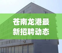 苍南龙港最新招聘动态今日更新