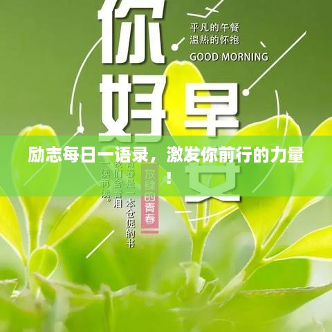 励志每日一语录，激发你前行的力量！