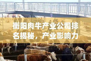 衡阳肉牛产业公司排名揭秘，产业影响力不容小觑