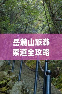 岳麓山旅游索道全攻略，带你领略高空观景的魅力！