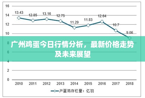 广州鸡蛋今日行情分析，最新价格走势及未来展望