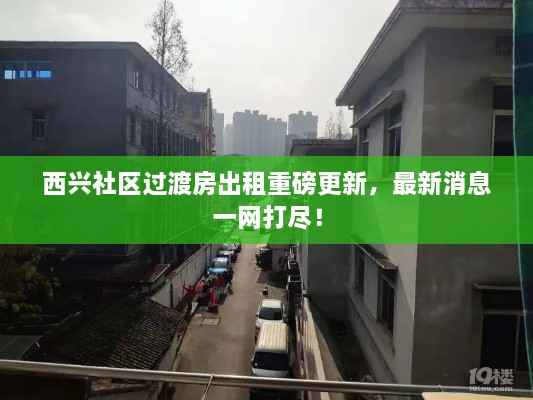 西兴社区过渡房出租重磅更新，最新消息一网打尽！