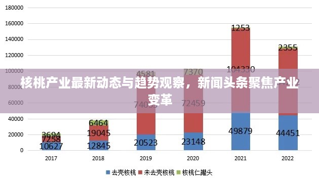 核桃产业最新动态与趋势观察，新闻头条聚焦产业变革