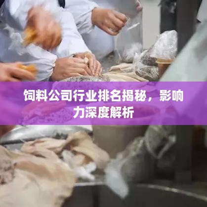 饲料公司行业排名揭秘，影响力深度解析