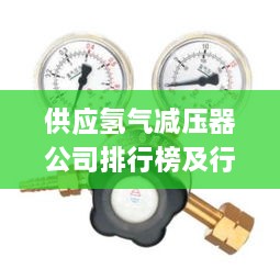 供应氢气减压器公司排行榜及行业影响力解析