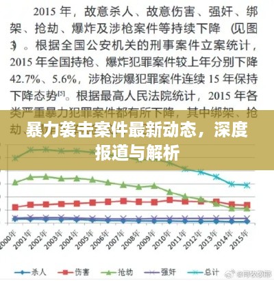 暴力袭击案件最新动态，深度报道与解析