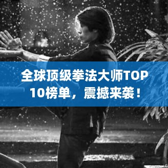 全球顶级拳法大师TOP10榜单，震撼来袭！