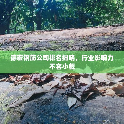 德宏钢筋公司排名揭晓，行业影响力不容小觑