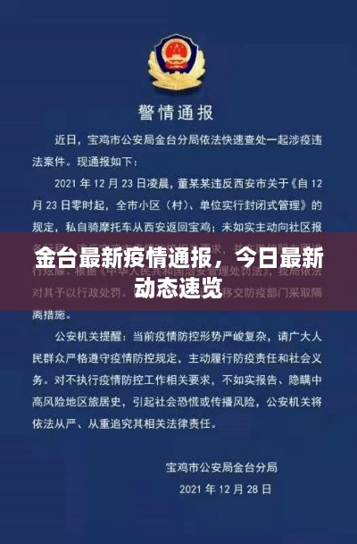 金台最新疫情通报，今日最新动态速览