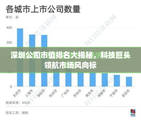 深圳公司市值排名大揭秘，科技巨头领航市场风向标