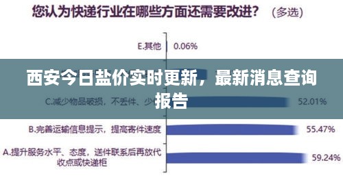 西安今日盐价实时更新，最新消息查询报告