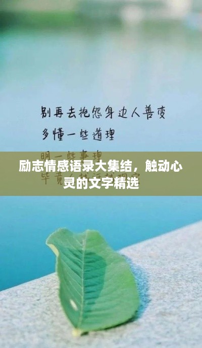 励志情感语录大集结，触动心灵的文字精选