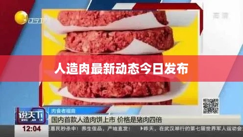 人造肉最新动态今日发布