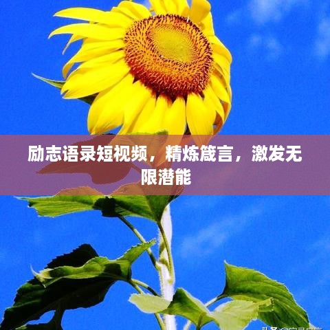 励志语录短视频，精炼箴言，激发无限潜能