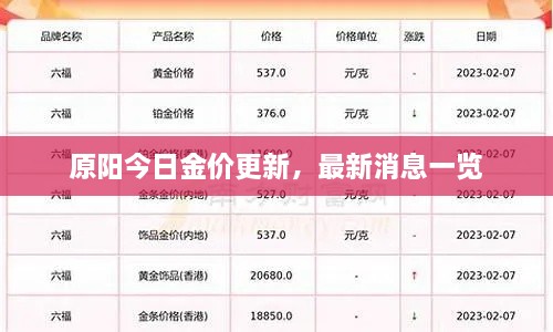 原阳今日金价更新，最新消息一览