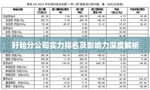 盱眙分公司实力排名及影响力深度解析