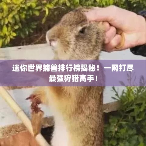 迷你世界捕兽排行榜揭秘！一网打尽最强狩猎高手！