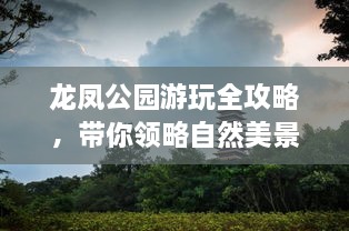 龙凤公园游玩全攻略，带你领略自然美景与文化底蕴