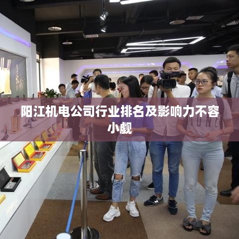 阳江机电公司行业排名及影响力不容小觑