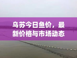 乌苏今日鱼价，最新价格与市场动态深度解析