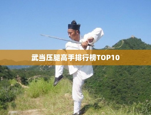 武当压腿高手排行榜TOP10