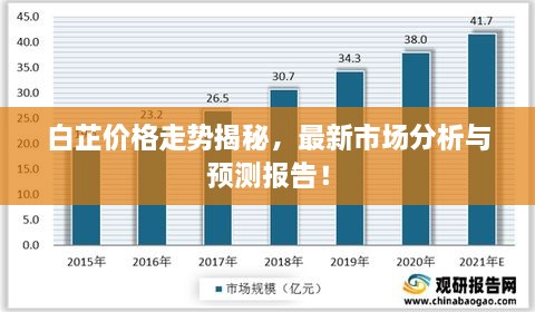 白芷价格走势揭秘，最新市场分析与预测报告！