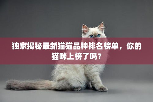 独家揭秘最新猫猫品种排名榜单，你的猫咪上榜了吗？