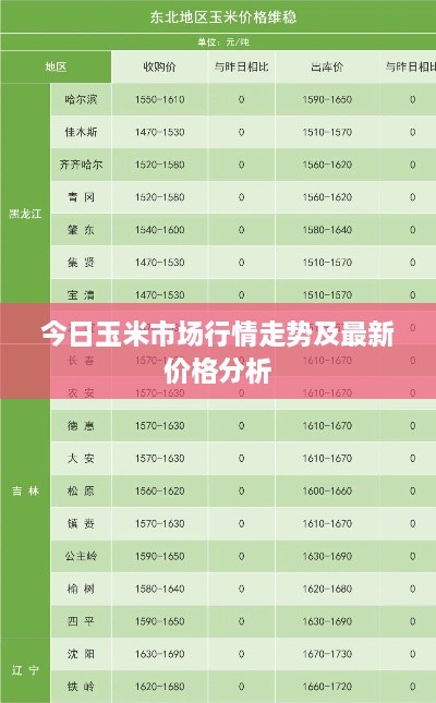 今日玉米市场行情走势及最新价格分析