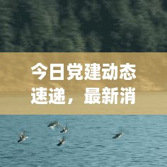 今日党建动态速递，最新消息新闻全面解读