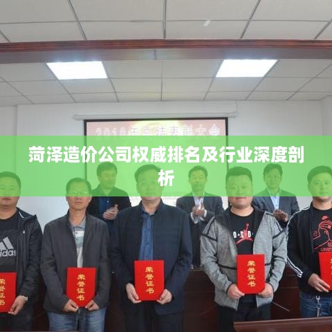 菏泽造价公司权威排名及行业深度剖析