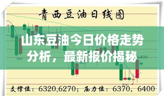 山东豆油今日价格走势分析，最新报价揭秘