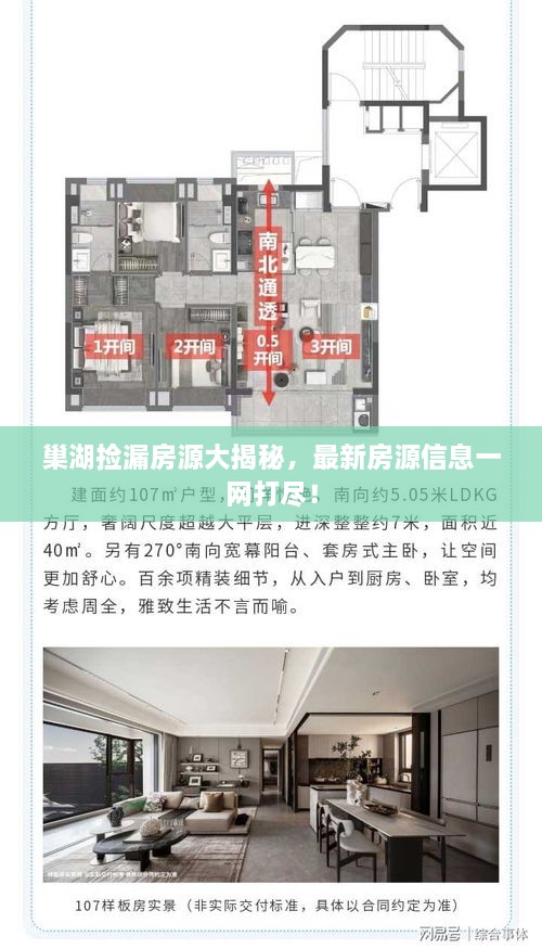 巢湖捡漏房源大揭秘，最新房源信息一网打尽！