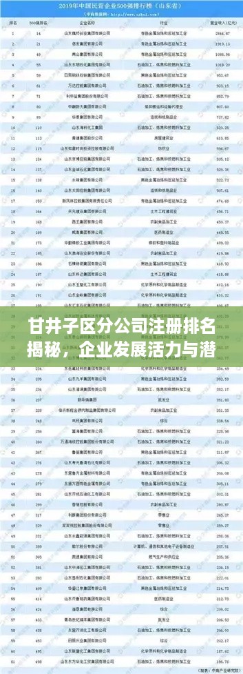甘井子区分公司注册排名揭秘，企业发展活力与潜力深度洞察