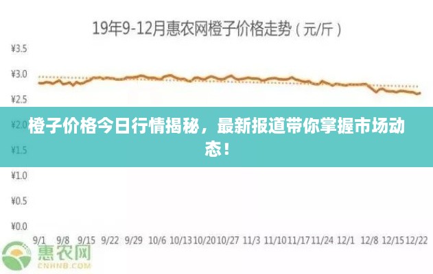 橙子价格今日行情揭秘，最新报道带你掌握市场动态！