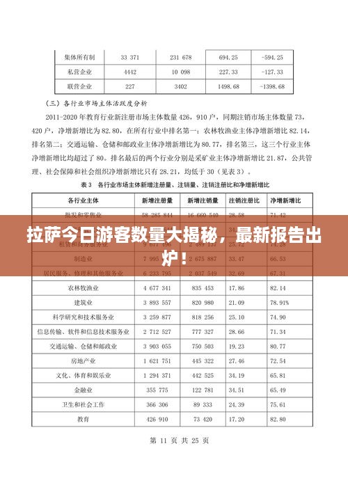 拉萨今日游客数量大揭秘，最新报告出炉！