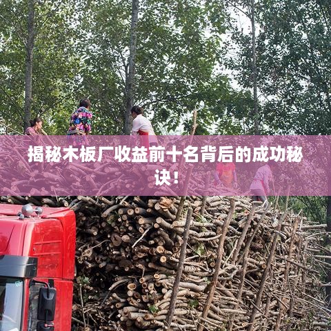 揭秘木板厂收益前十名背后的成功秘诀！