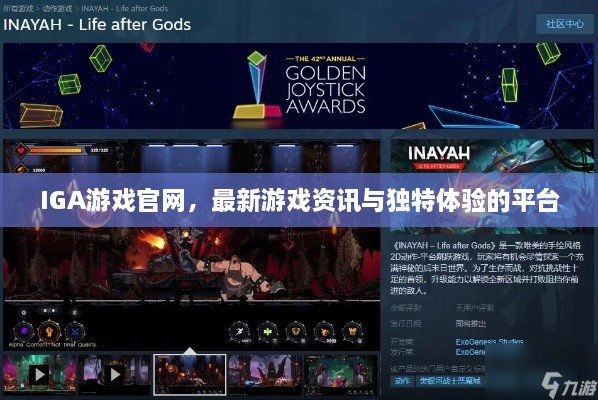 IGA游戏官网，最新游戏资讯与独特体验的平台