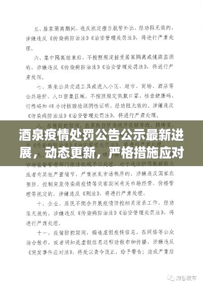 酒泉疫情处罚公告公示最新进展，动态更新，严格措施应对