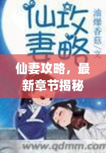 仙妻攻略，最新章节揭秘探索之旅