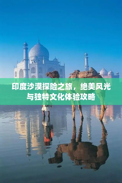 印度沙漠探险之旅，绝美风光与独特文化体验攻略